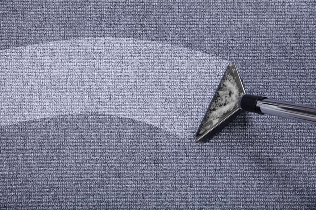 Professional carpet cleaning services in Surrey